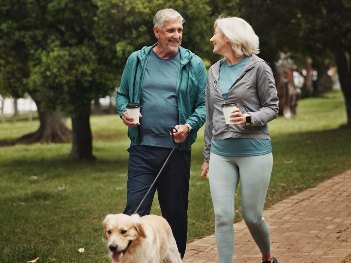A senior couple walking their golden retriever through the park, coffees in hand.